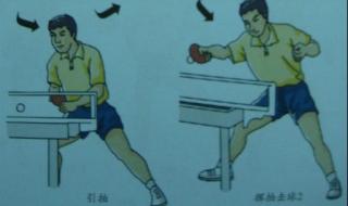 乒乓球直拍教学视频 乒乓球直拍教学步骤